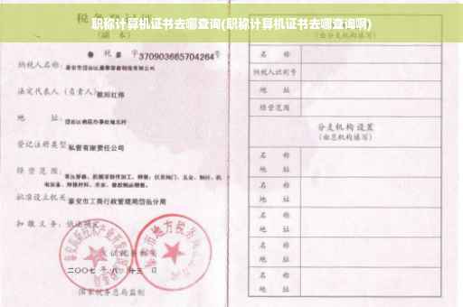 职称计算机证书去哪查询(职称计算机证书去哪查询啊)