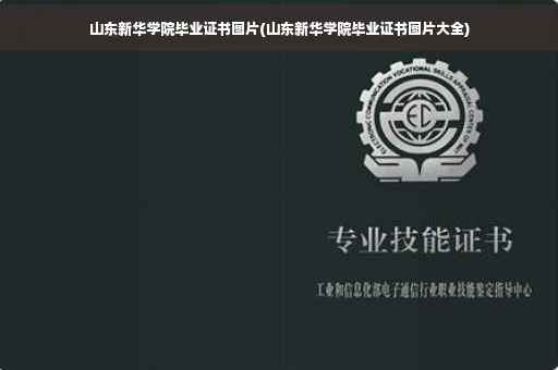 山东新华学院毕业证书图片(山东新华学院毕业证书图片大全)
