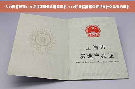 人力资源管理1+x证书项目包含哪些证书,1+x职业技能等级证书是什么类型的证书