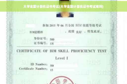 大学全国计算机证书考试(大学全国计算机证书考试难吗)