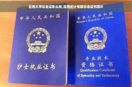 云南大学毕业证怎么样,应用统计专硕毕业证书图片