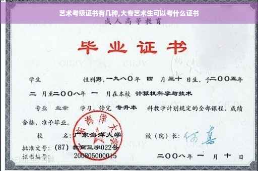 艺术考级证书有几种,大专艺术生可以考什么证书
