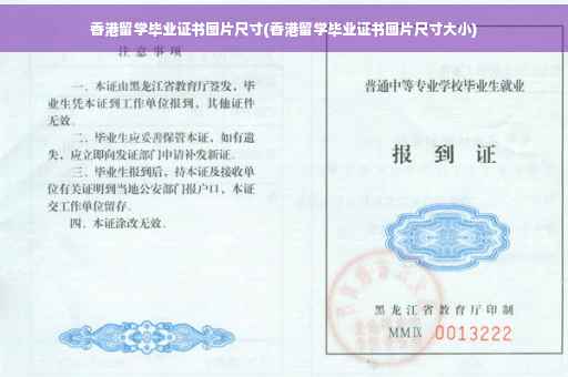 香港留学毕业证书图片尺寸(香港留学毕业证书图片尺寸大小)