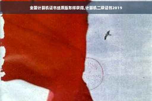 全国计算机证书纸质版怎样获得,计算机二级证书2019