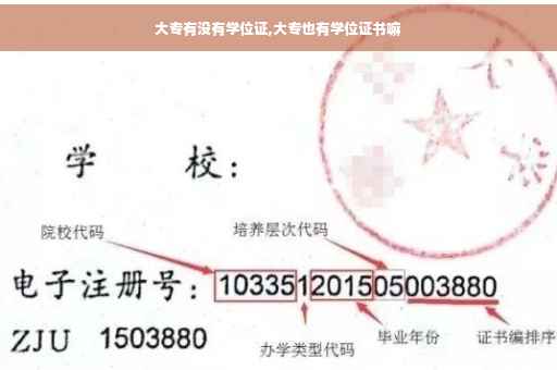 大专有没有学位证,大专也有学位证书嘛