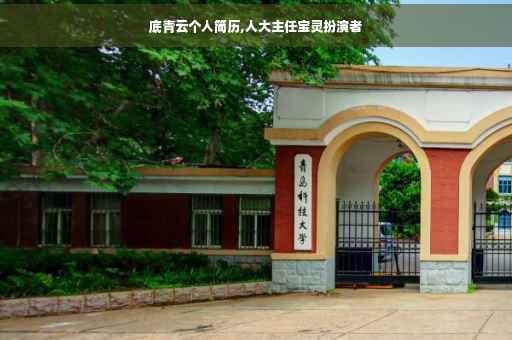 底青云个人简历,人大主任宝灵扮演者