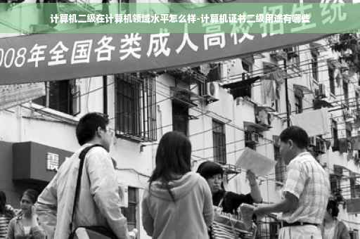 计算机二级在计算机领域水平怎么样-计算机证书二级用途有哪些