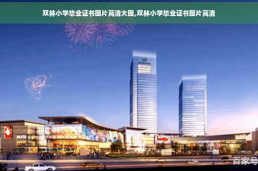 双林小学毕业证书图片高清大图,双林小学毕业证书图片高清