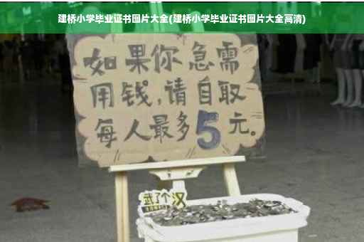 建桥小学毕业证书图片大全(建桥小学毕业证书图片大全高清)