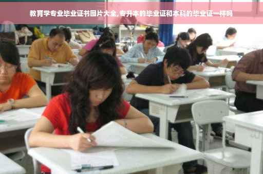 教育学专业毕业证书图片大全,专升本的毕业证和本科的毕业证一样吗