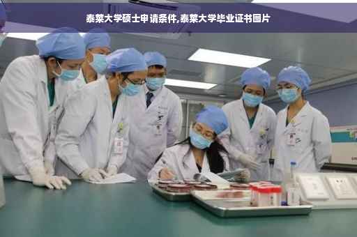 泰莱大学硕士申请条件,泰莱大学毕业证书图片