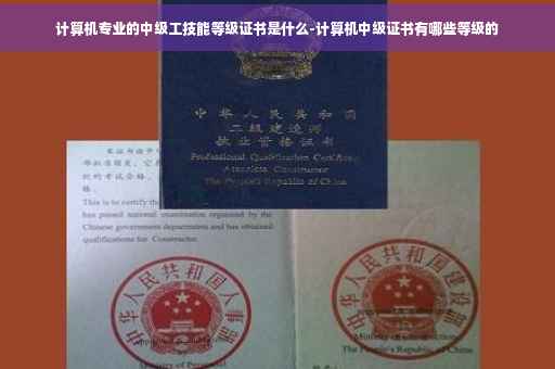 计算机专业的中级工技能等级证书是什么-计算机中级证书有哪些等级的