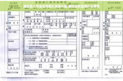 退役军人毕业证书图片高清大图,退伍证类型是什么意思