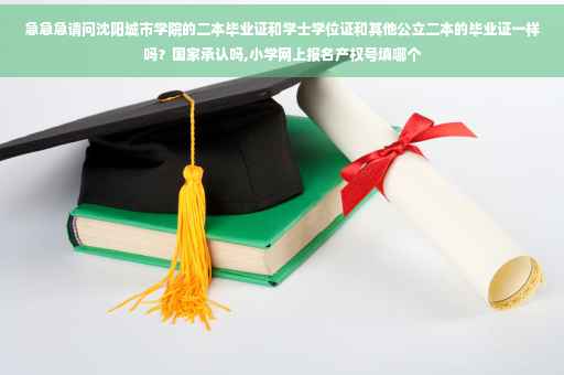 急急急请问沈阳城市学院的二本毕业证和学士学位证和其他公立二本的毕业证一样吗？国家承认吗,小学网上报名产权号填哪个