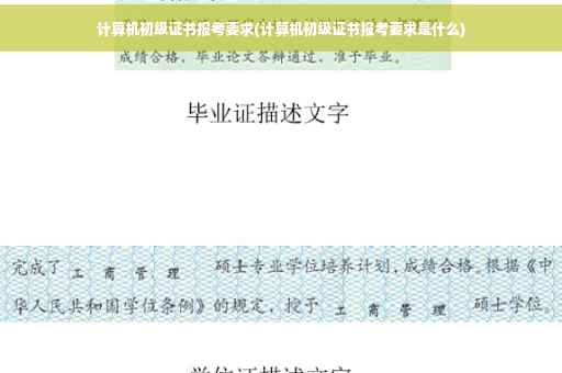 计算机初级证书报考要求(计算机初级证书报考要求是什么)