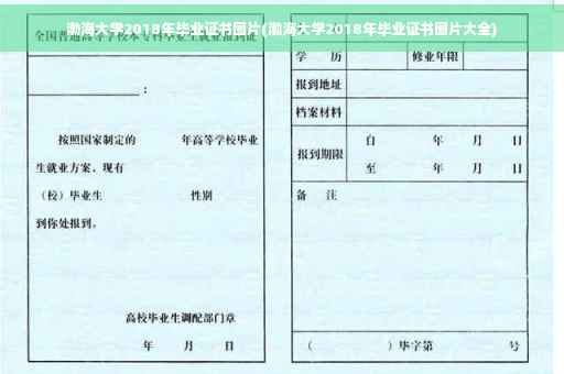 渤海大学2018年毕业证书图片(渤海大学2018年毕业证书图片大全)