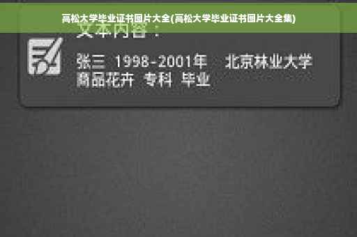高松大学毕业证书图片大全(高松大学毕业证书图片大全集)