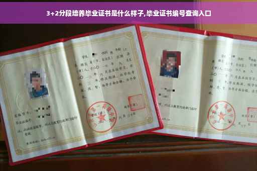 3+2分段培养毕业证书是什么样子,毕业证书编号查询入口