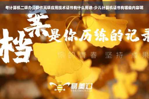 考计算机二级办公软件高级应用技术证书有什么用途-少儿计算机证书有哪些内容呢