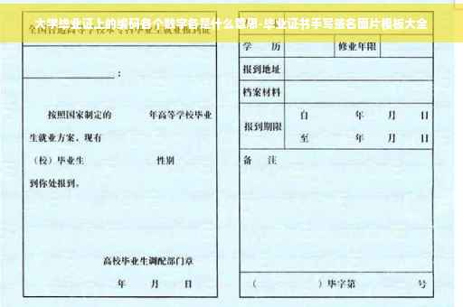 大学毕业证上的编码各个数字各是什么意思-毕业证书手写签名图片模板大全