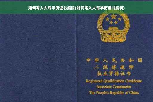 如何考入大专学历证书编码(如何考入大专学历证书编码)