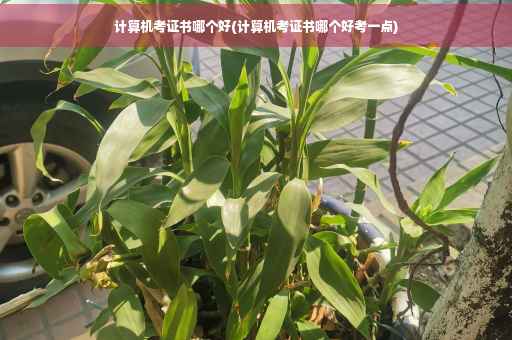 计算机考证书哪个好(计算机考证书哪个好考一点)