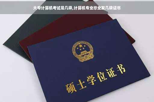 大专计算机考试是几级,计算机专业毕业发几级证书
