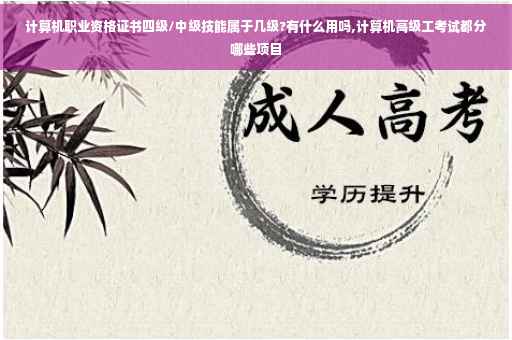 计算机职业资格证书四级/中级技能属于几级?有什么用吗,计算机高级工考试都分哪些项目