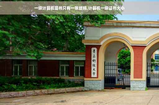 一级计算机证书只有一张纸吗,计算机一级证书大小