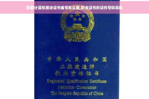 职称计算机模块证书编号怎么查,职业证书的证件号码是指