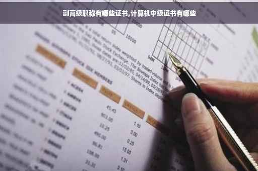 副高级职称有哪些证书,计算机中级证书有哪些