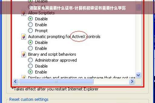 进国家电网需要什么证书-计算机初级证书需要什么学历