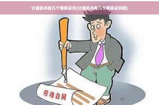 计算机共有几个等级证书(计算机共有几个等级证书啊)