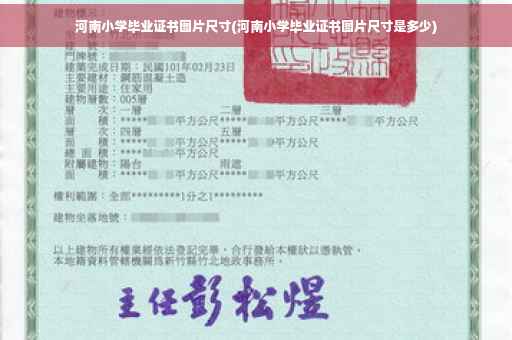 河南小学毕业证书图片尺寸(河南小学毕业证书图片尺寸是多少)