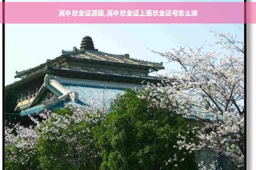 高中毕业证原图,高中毕业证上面毕业证号怎么填