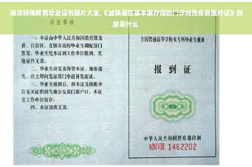 南京特殊教育毕业证书图片大全,《城镇居民基本医疗保险门诊特殊疾病医疗证》到底是什么