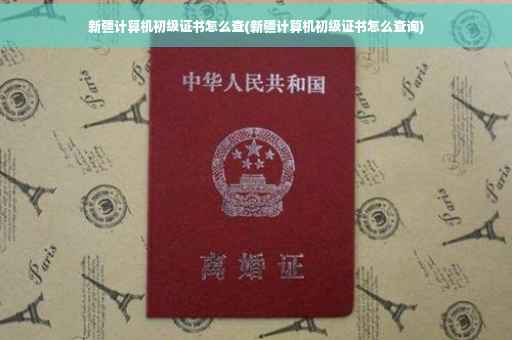 新疆计算机初级证书怎么查(新疆计算机初级证书怎么查询)
