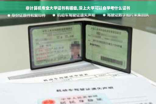 非计算机专业大学证书有哪些,没上大学可以自学考什么证书
