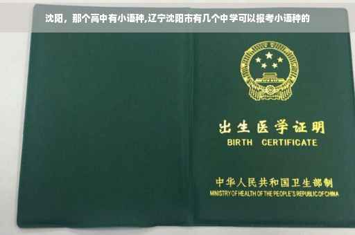 沈阳,那个高中有小语种,辽宁沈阳市有几个中学可以报考小语种的 沈阳,那个高中有小语种,辽宁沈阳市有几个中学可以报考小语种的