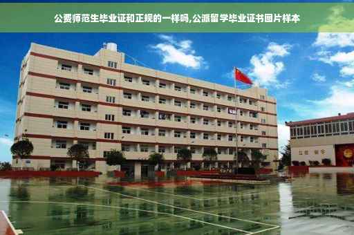 公费师范生毕业证和正规的一样吗,公派留学毕业证书图片样本