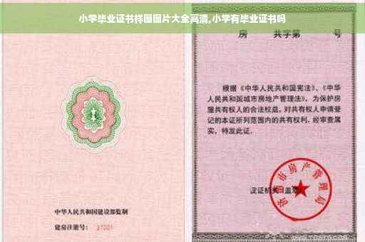 小学毕业证书样图图片大全高清,小学有毕业证书吗