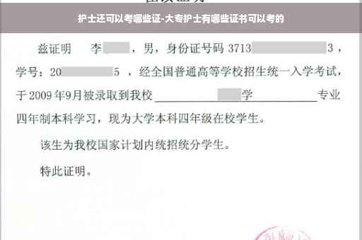 护士还可以考哪些证-大专护士有哪些证书可以考的