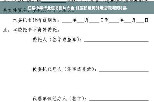 红军小学毕业证书图片大全,红军长证何时走过青海班玛县