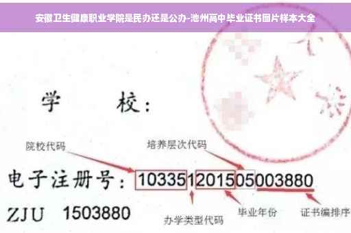 安徽卫生健康职业学院是民办还是公办-池州高中毕业证书图片样本大全