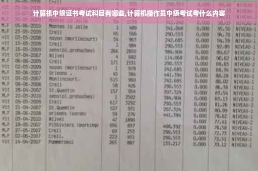 计算机中级证书考试科目有哪些,计算机操作员中级考试考什么内容