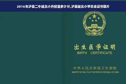 2016年泸县二中城北小升初需多少分,泸县城北小学毕业证书图片