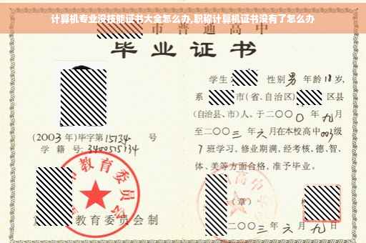 计算机专业没技能证书大全怎么办,职称计算机证书没有了怎么办 计算机专业没技能证书大全怎么办,职称计算机证书没有了怎么办