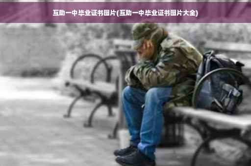 互助一中毕业证书图片(互助一中毕业证书图片大全)
