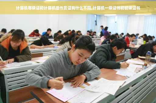计算机等级证和计算机操作员证有什么不同,计算机一级证书和初级证书