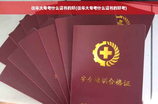 往年大专考什么证书的好(往年大专考什么证书的好考)